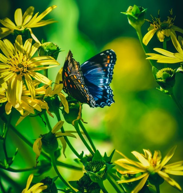 Coaching? What Is It? #7