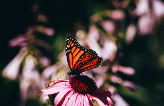 Overwhelmed? 5 Tips To Get You Back. #8