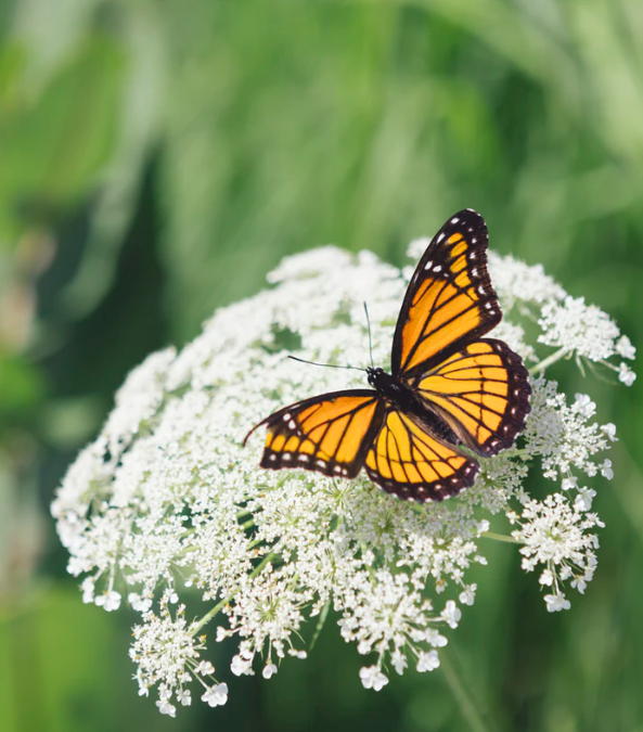 When Your Confidence Fades… 3 Tips To Get It Back #19