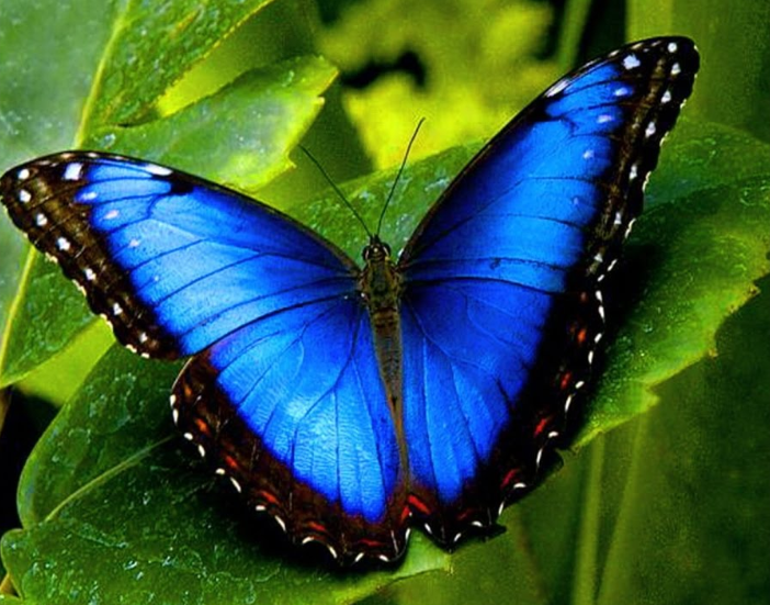 10 Tips For Taming Yourself When Things Are Uncertain #20