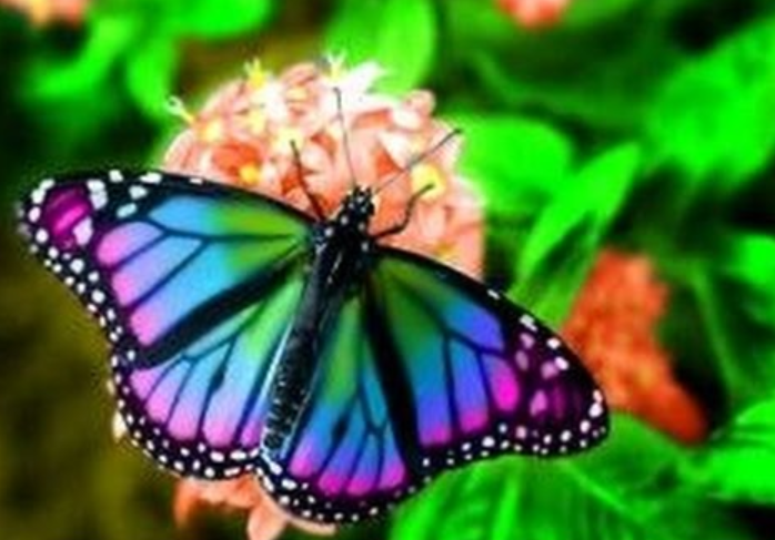 The Beauty Of Grieving #21